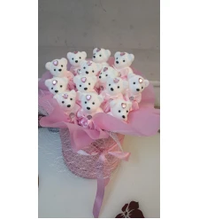 Pembe Kutu Ayıcıklar - Hoşgeldin Bebek