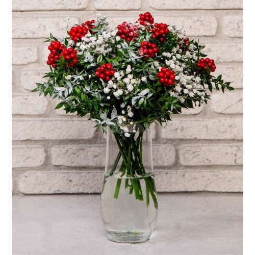 Vazoda Kokina Yılbaşı Çiçeği