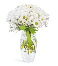 Margeriten in einer Vase