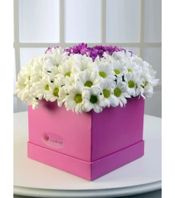 Frühlingskönigin – ländliches Arrangement