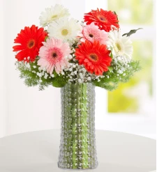 Düş Prensesi Gerbera Aranjmanı
