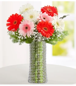 Traumprinzessin – Gerbera-Arrangement