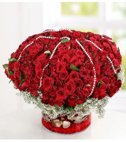 500 rote Rosen