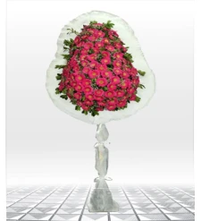 Gelin Duvağı - Gerbera