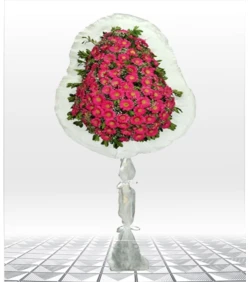 Brautschleier – Gerbera