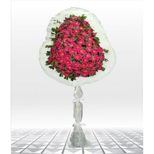 Gelin Duvağı - Gerbera
