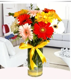 Bunte Gerbera in einer Vase