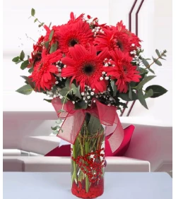 Rote Gerbera in einer Vase